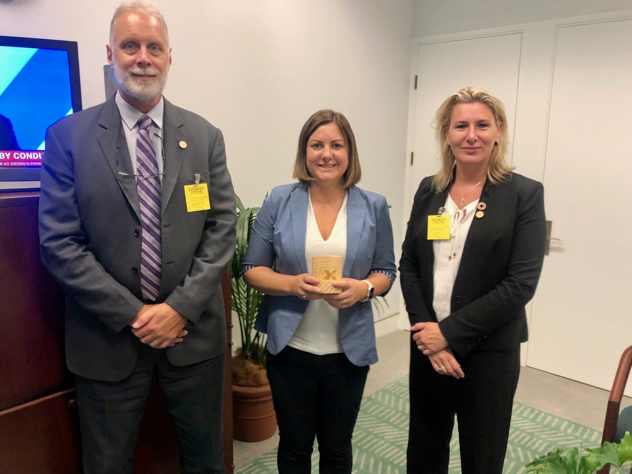 Government needs to deliver on its promise to address the timber shortage Main Image