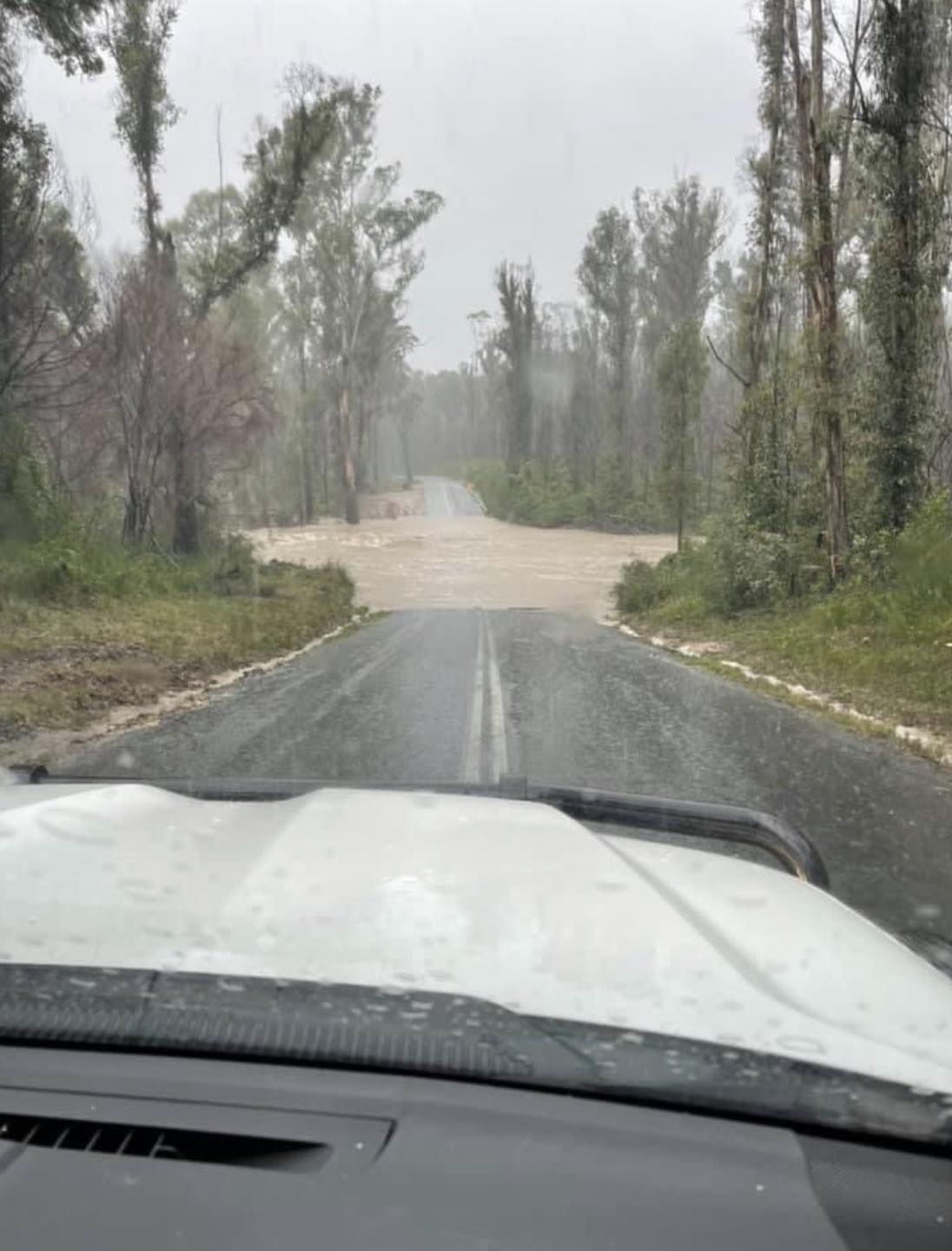 FUNDING FOR BEGA VALLEY BRIDGE UPGRADE Main Image