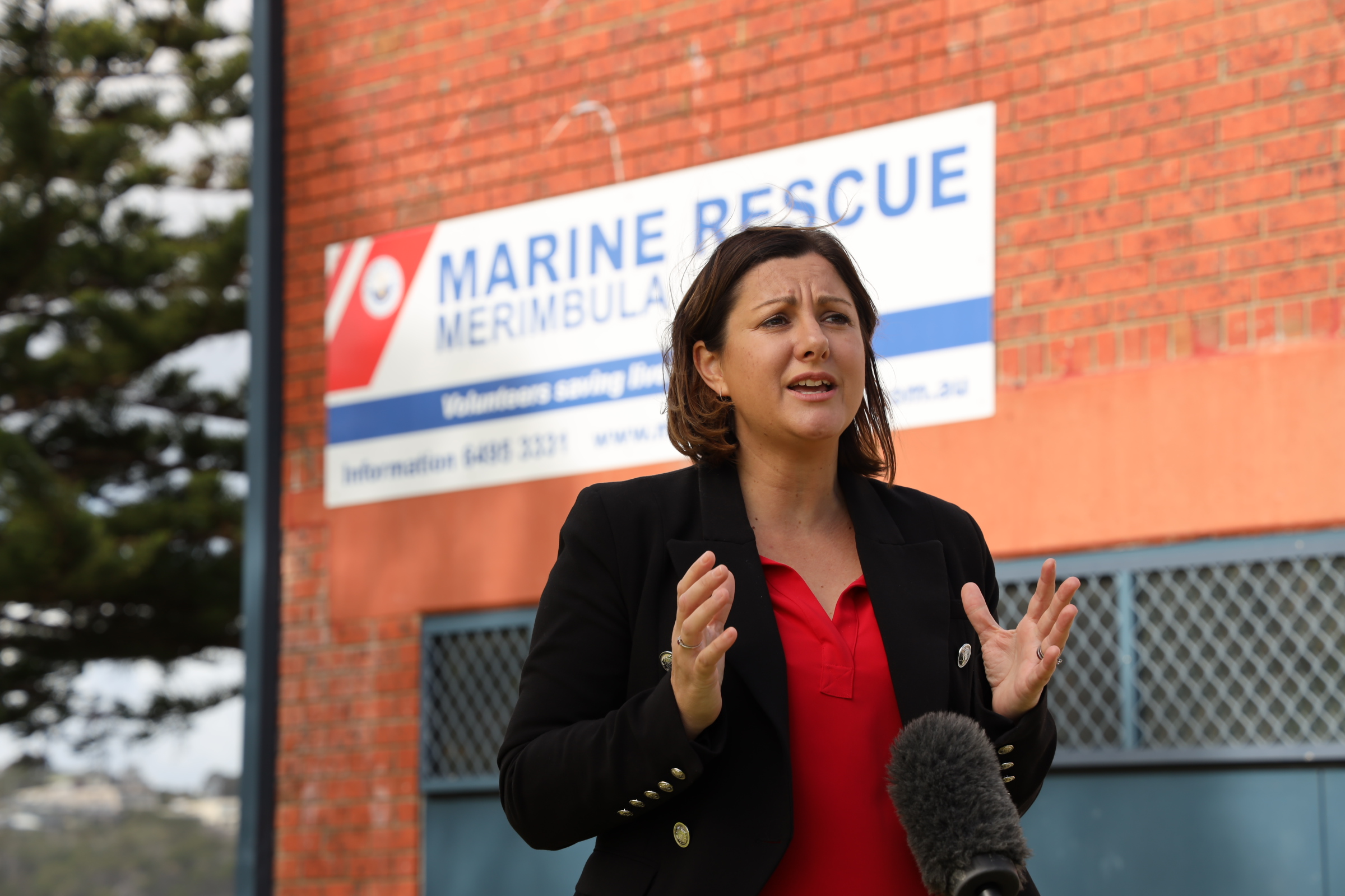 ABC Riverina - Bushfire Recovery Main Image