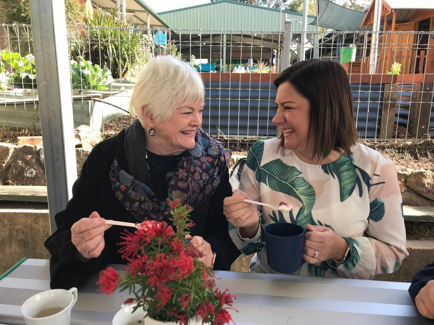 Governor-General's address in reply Main Image