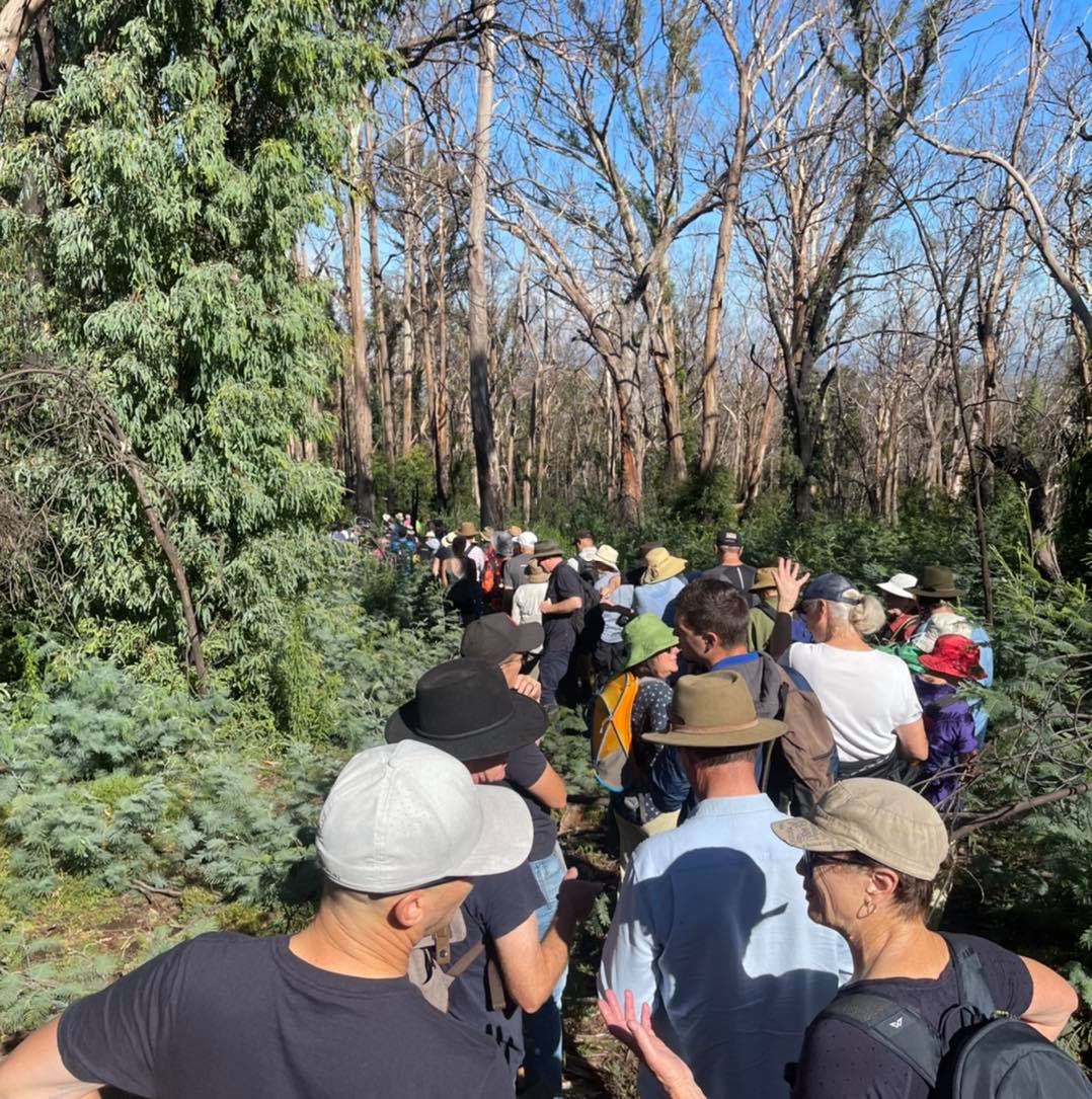 Only $100,000 spent on telecommunications since Black Summer Main Image