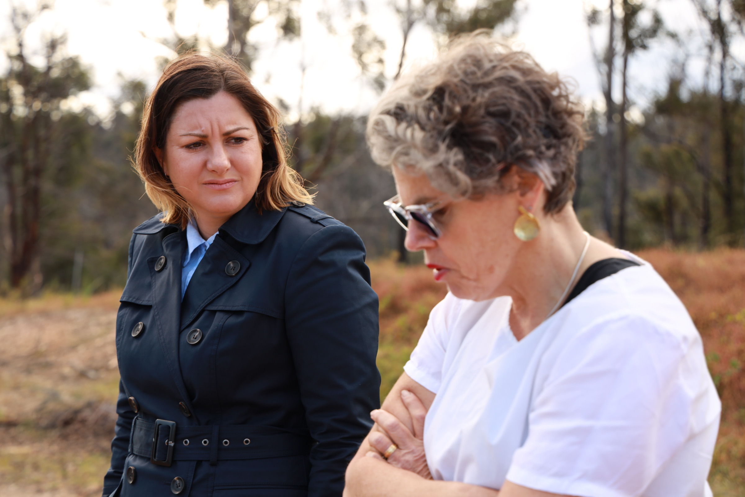 2019-20 Bushfire Senate Inquiry Main Image