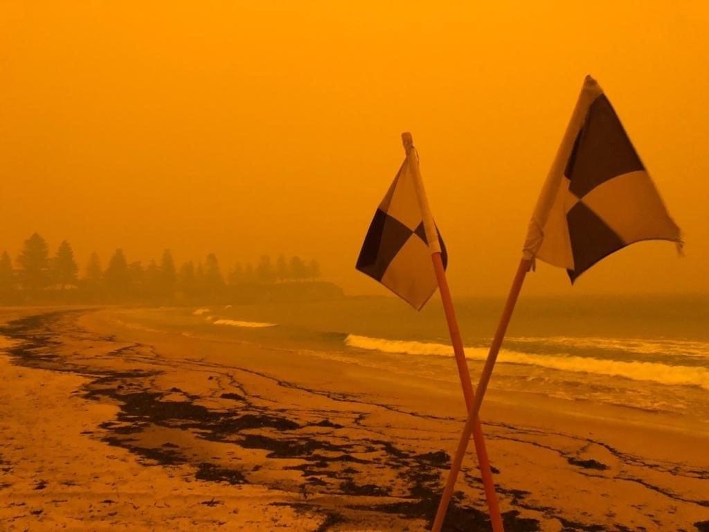 University staff step up to help bushfire-affected communities Main Image