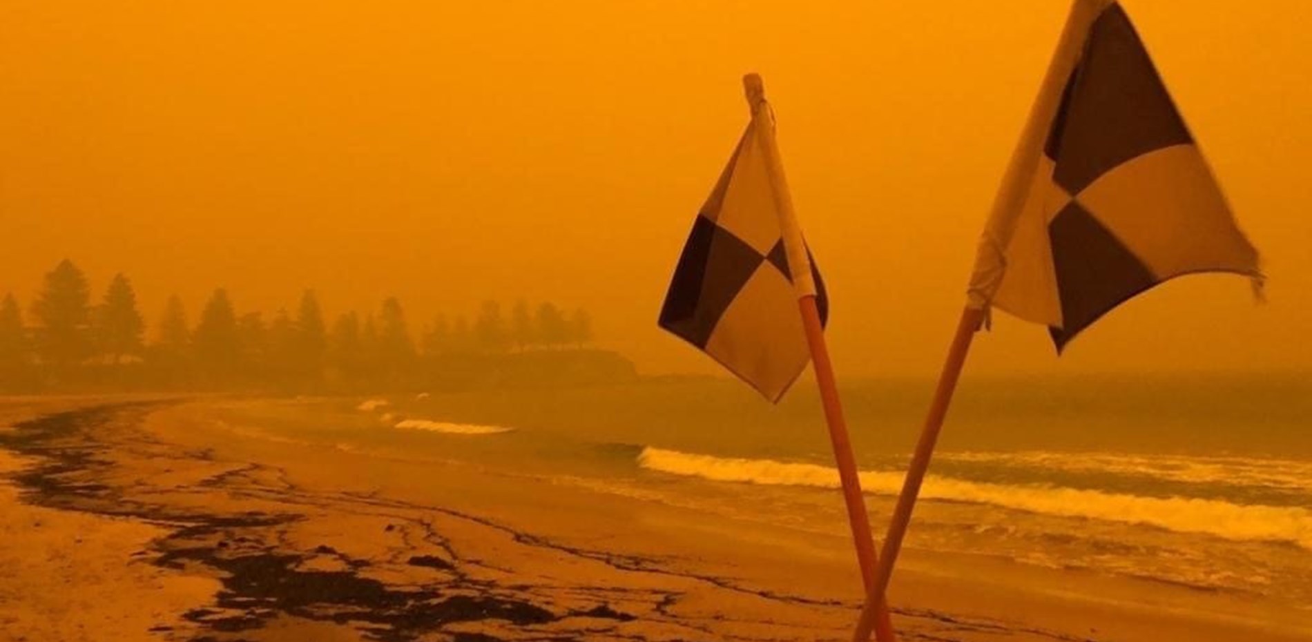 University staff step up to help bushfire-affected communities Main Image