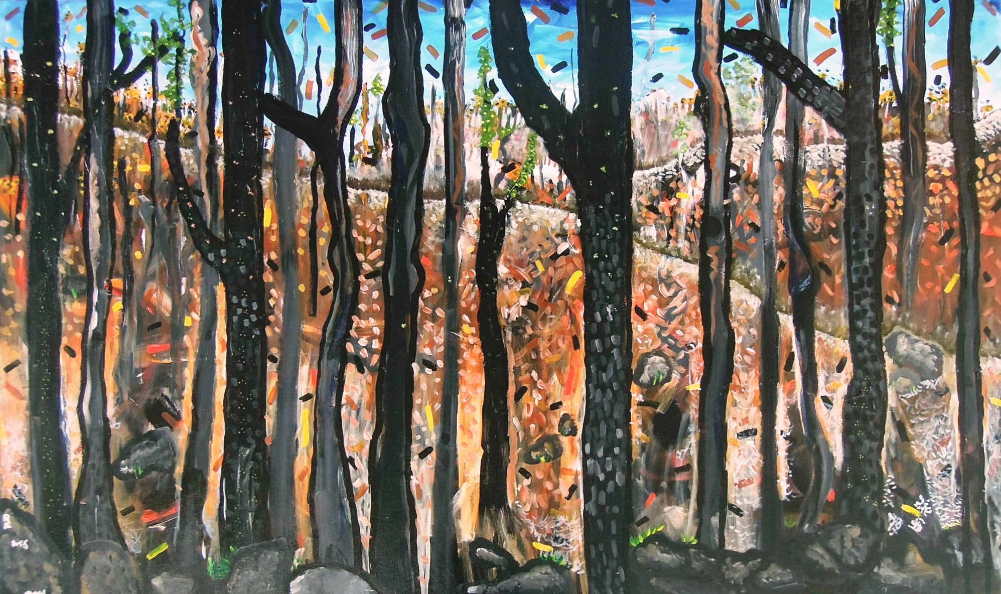 Burnt out local environment receives funding support Main Image