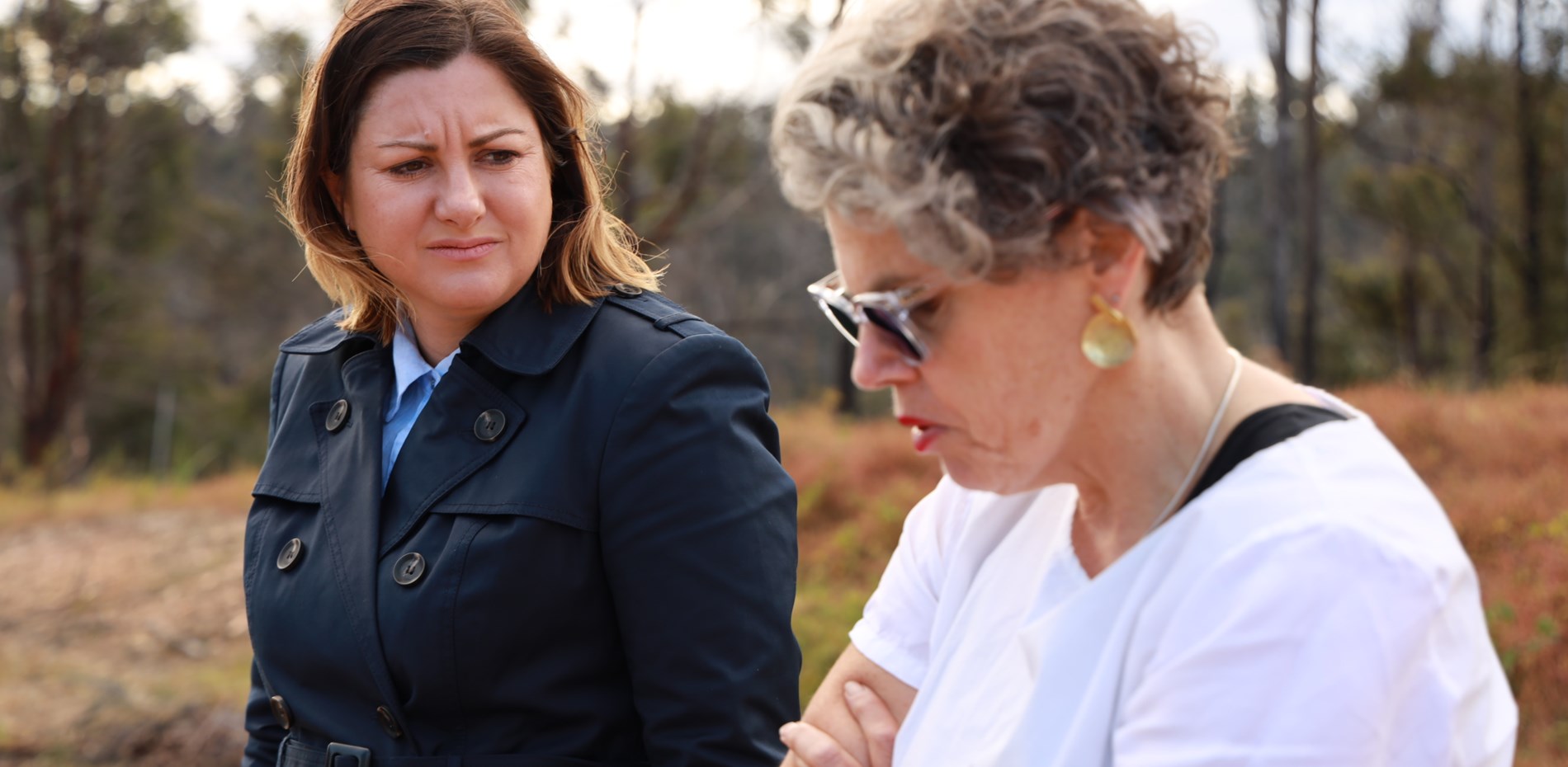 Labor calls on government again to extend HomeBuilder to help bushfire survivors Main Image